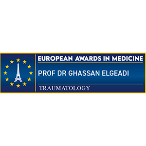 Europeran-awards-in-medicine