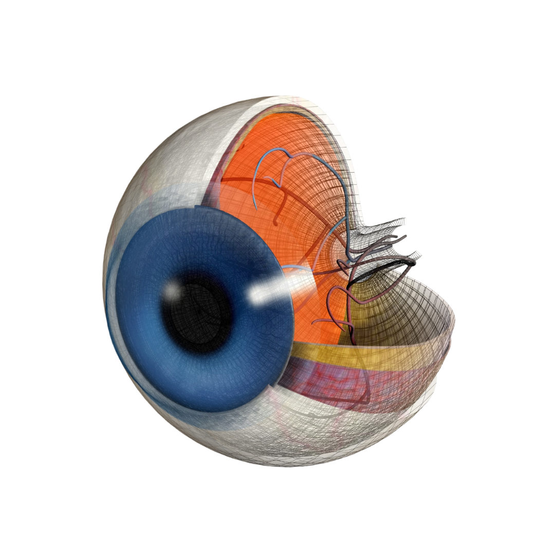 Best eye specialist in Dubai performing an eye examination at a top eye clinic.