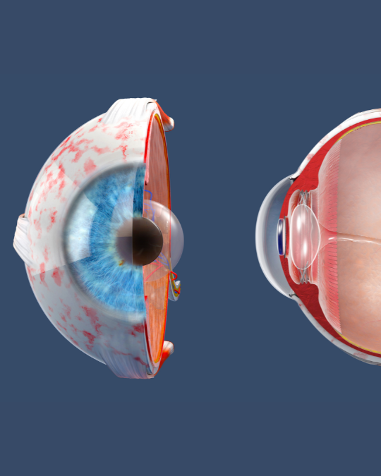 Best eye hospital in Dubai with expert ophthalmologists and advanced cornea services.