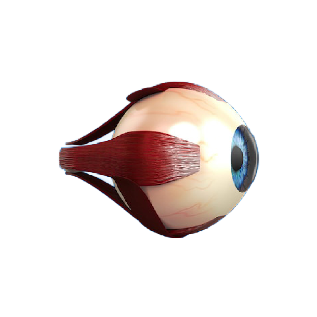Cornea specialist in Dubai performing a detailed eye examination.